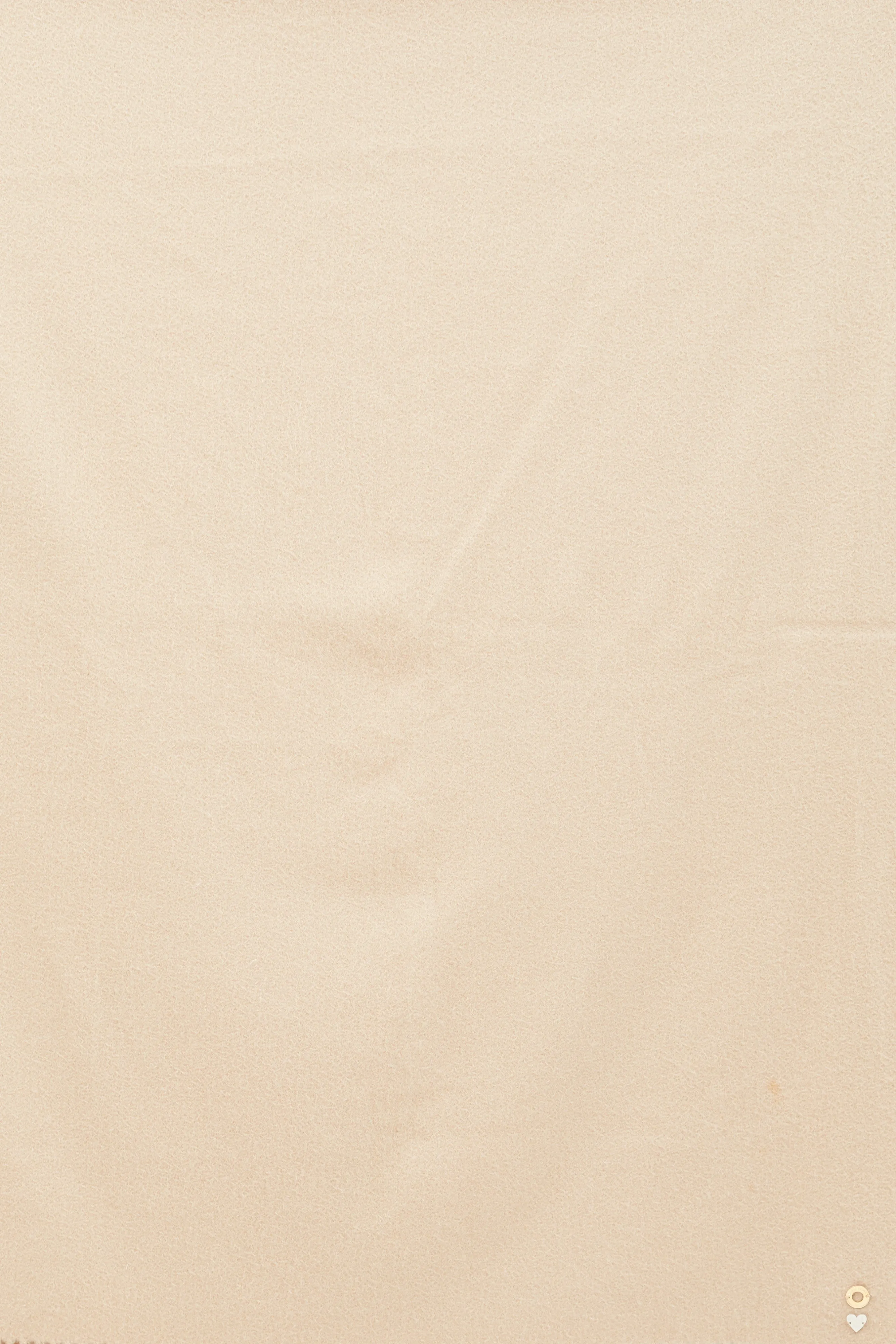 Beige Cashmere Fringe Scarf